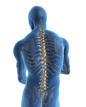 Posture for Back- Orthopedic Surgeons Frederick MD