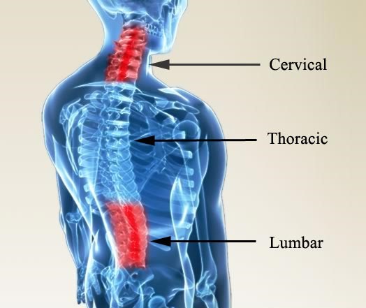 Neck and Back Pain - The Spine Clinics